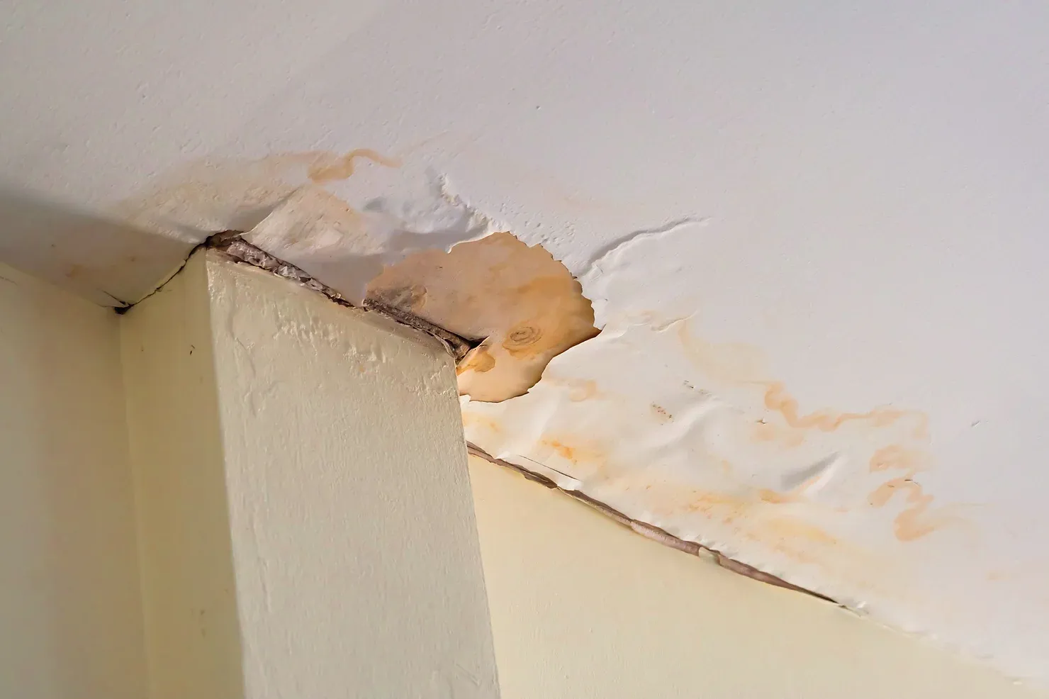 How to Find Roof Leaks: Complete Guide for NYC Home