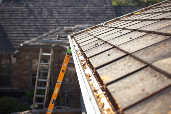 Roof Gutter Replacement