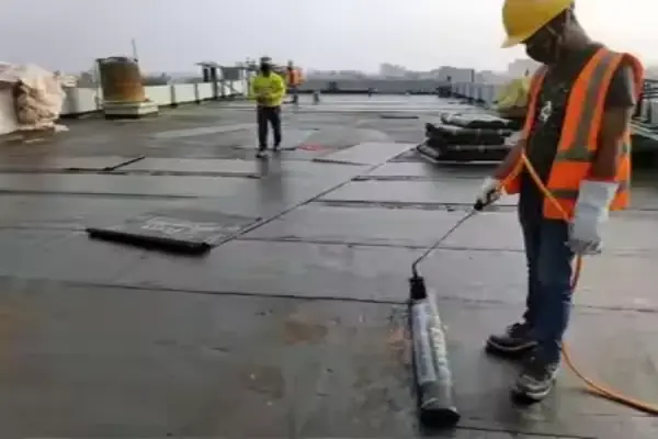Roof Cleaning Preparation
